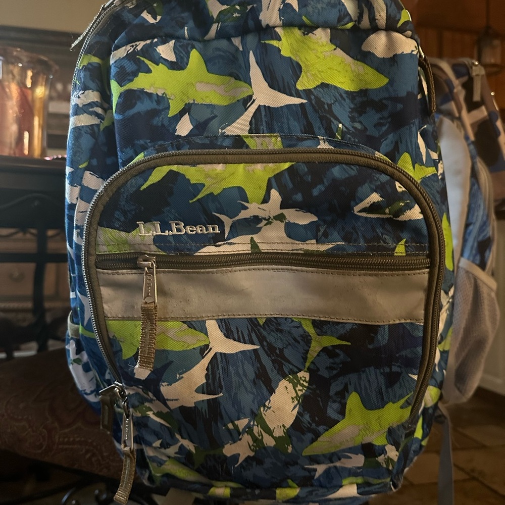 Grade school backpack